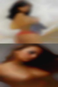 Florida cougars find pussy for sex. Florida cougars find pussy for sex.